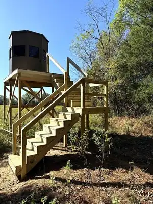Custom elevated deer stand with deck and stairs